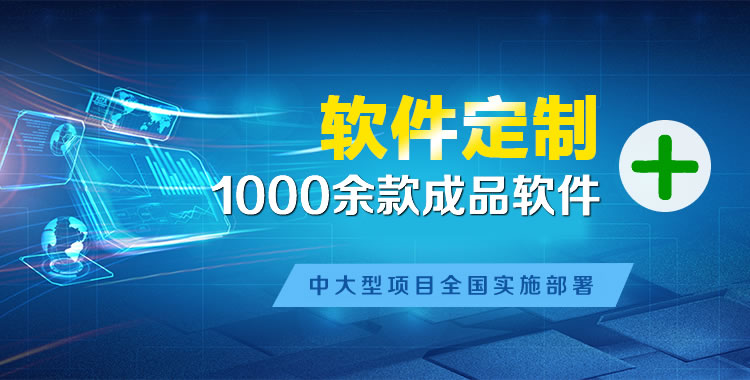 泸定软件开发